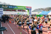'2023영주소백산마라톤대회’ 7천500여명 달렸다
