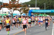 울진 금강송배 전국 마라톤 대회 개최