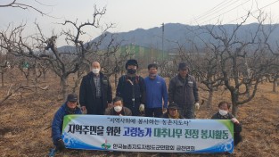 농촌지도자 금천면회 고령농가 대추나무 전정 봉사활동