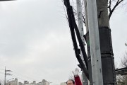 우성진 동구·군위군을 국민의힘 예비후보, ‘30시간 골목골목 뚜벅이 투어’로 지지 호소