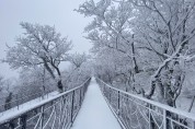 모나 용평, 발왕산의 상고대와 함께하는 특별한 겨울